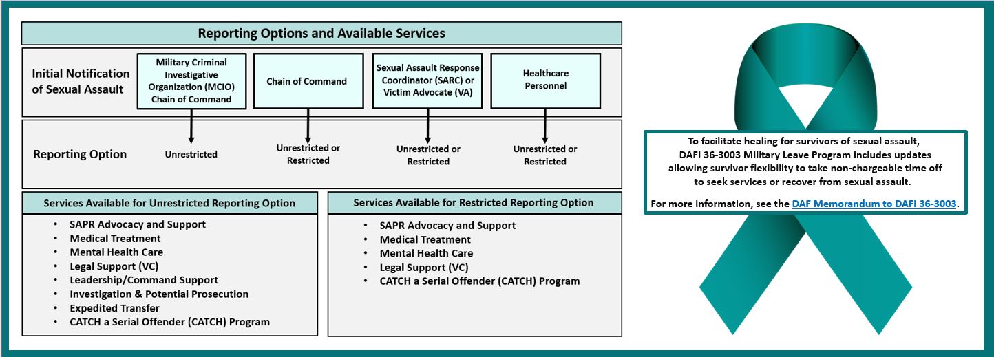 Reporting options diagram